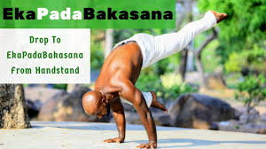 Handstand To Eka Pada Bakasana Yoga Transition Yogavideo Yoga Video Yogatransition Yogaflow Yogapractice Yoga Poses For Men Advanced Yoga Vinyasa Yoga