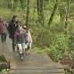 June Forest Walk at Columbia Springs