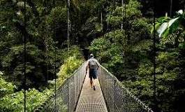 Qué ver en Costa Rica en 10 días? 🥇| Heymondo