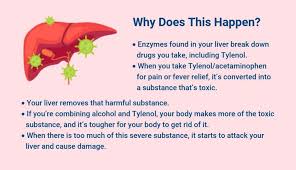 Don't take more than one medicine that contains acetaminophen at a time. Mixing Alcohol And Tylenol Acetaminophen The Recovery Village