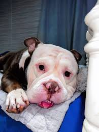 Happy birthday to him he's a year older, don't scroll up without wishing  him 🎉🥰🙏