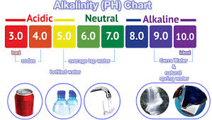 alkalizing cerra water alkaline antioxidant water