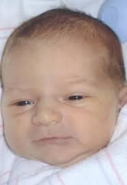 Genevieve Riley Camire