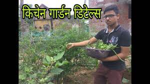 Free website kaise banaye | how to create a website in hindi. Kitchen Garden Kaise Banaye à¤ à¤à¤¨ à¤ à¤° à¤¡à¤¨ à¤ à¤¸ à¤¬à¤¨ à¤¯ How To Install A Kitchen Garden At Home Youtube