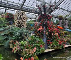 Maybe you would like to learn more about one of these? Lovely Orchids At Kew Gardens In London My Traveling Joys