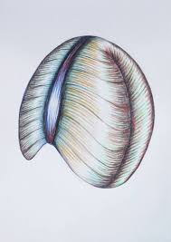 Maybe you would like to learn more about one of these? Coloured Pencil Drawing Drawings For Sale Saatchi Art
