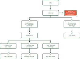 Rectal bleeding with bright red blood. Rectal Cancer Esmo Clinical Practice Guidelines For Diagnosis Treatment And Follow Up Annals Of Oncology