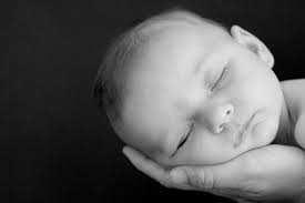 Catherine Snow Photography