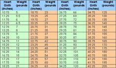 inquisitive boer goats weight chart dwarf growth chart goat