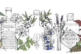 I had an amazing time making gin with the bathtub gin conpany! Gin Botanicals Explained Plus Ten Exciting Gins To Try Decanter