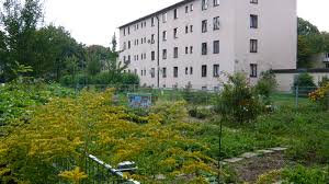 Lernen sie die unterschiedlichen blattbilder in unserer baumschule kennen. Garten Karte Urbane Garten Munchen