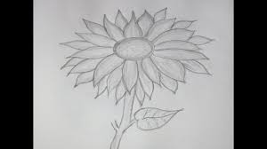 How to draw and sketch a sunflower using pencil. Easy Drawing Of Sun Flower Novocom Top