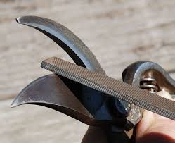 Summer Garden Chores Garden Chores Garden Tools Pruning Shears