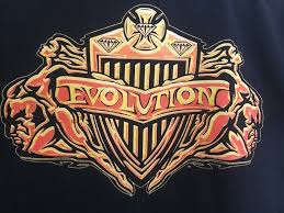 An all women's ppv from the wwe. Evolution Logo Wrestling Evolution Vintage
