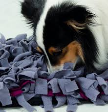 Une Activite Qui A Du Flair Ou Comment Fabriquer Un Tapis De Fouille En 2020 Activites Pour Chien Tapis Chien Jeu Chien