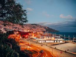 The exotic colours of the flowers stand out from among the blue sea and the emerald green vegetation; The Best Bars In Funchal And Madeira Pack The Suitcases
