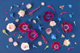 Find images that you can add to blogs, websites, or as desktop and phone wallpapers. Digital Blooms January 2020 Free Desktop Wallpaper Justinecelina
