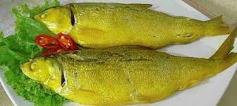 Cara Membuat Bandeng Presto Duri Lunak Cara Membuat Bandeng Presto Juwana Cara Membuat Bandeng Presto Tulang Lunak Presto Dengan P Makanan Ikan Makanan Masakan