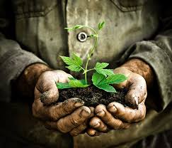 Si pentru ca ziua internationala a mediului ne dorim sa fie in fiecare zi, am ales sa ne alaturam campaniei de sensibilizare derulata la nivel national de catre sistem national de colectare si asociatia rorec. 5 Iunie Ziua MondialÄƒ A Mediului InconjurÄƒtor Compania Apa Brasov