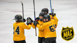 Boys Aaa – Minnesota Steel Hockey Club
