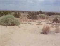 We would like to show you a description here but the site won't allow us. Deserto Gif Gfycat