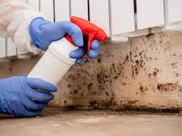Mold Remediation Services Seattle | Mold Remediation Ten Vendors Mile