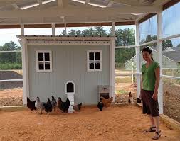 pin on commercial chicken coops