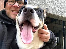 Our volunteers make our dogs soo happy. This is Dan. He is so beyond  helpful, he always comes in and spends hours walking and running with the  dogs. If you've ever said "