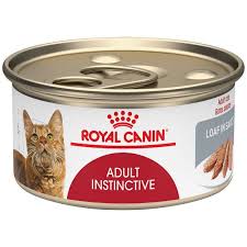 Hill S Prescription Diet K D Kidney Care Cat Food Tuna Canned Cat Food Animal Nutrition Cat Food
