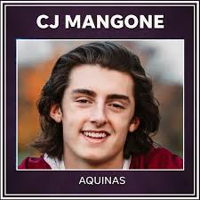 The Democrat and Chronicle announces 14 winter All-Greater Rochester teams  which honor the best athletes in the region.