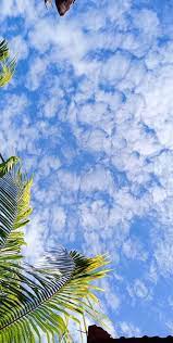 We have 29 images about background langit biru including images, pictures, photos, wallpapers, and more. Langit Dan Awan Cantik Fotografi Langit Estetika Langit Langit