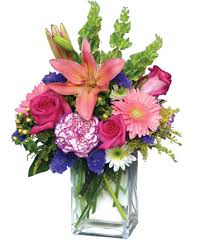 Official state symbols, flora and fauna of indian states. Griffith Florist Griffith In Flower Shop An Dee S Floral