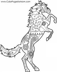 Check spelling or type a new query. Animals 7 Advanced Coloring Page