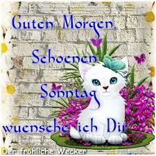 Mindestens zwei drittel der zeit steht man mit der hilfe eines wecker auf. Schonen Sonntag Wunsche Ich Dir Bilder 280 Gbpicsbilder Com
