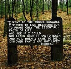 Http Thefabweb Com Wp Content Uploads 2012 06 Hku0b Jpg Thoreau Quotes Life Facts Walden Pond
