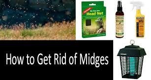 Most look like mosquitoes or gnats and are commonly known by a typically thermal foggers are used to eliminate midges near your house or backyard. 10 Ways To Get Rid Of Midges 10 Best Repellents Insect Killers 2021