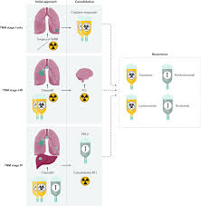 Small cell carcinoma, also called or, they may not have had any known lung cancer risks. Small Cell Lung Cancer Nature Reviews Disease Primers