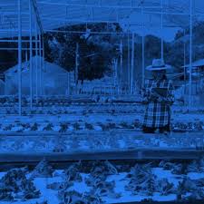 We offer a complete range of mechanical & electrical engineering / building services and green building consultancy services from preliminary investigation, feasibility studies to design & supervision of construction works. Home World Benchmarking Alliance