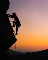 Steve Yocom (@steve_yocom)