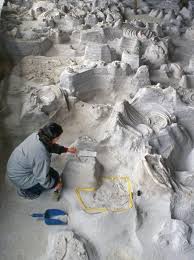When an ancient supervolcano erupted, some of nebraska's prehistoric animals were forever preserved in ash. Fossils In Nebraska A 12 Million Year Old Tale That Never Grows Old Special Sections Omaha Com
