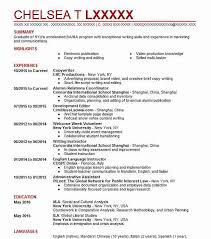 professional copywriter resume examples