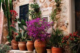 Es sind die zeichen der zeit, die den schon seit. Gartenstile Der Mediterrane Garten