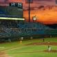 Evansville Purple Aces at Bradley Braves Men's Baseball
