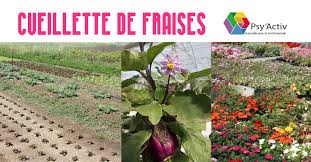 Fermes Et Cueillettes Rdvludique