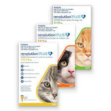 Buy Revolution Plus For Cats Online Kellyville Pets