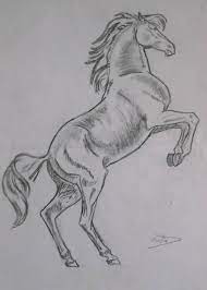 cheval - dessin au crayon | Desenho de rosto realista, Desenho phoenix,  Arte cavalo