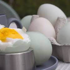 Maybe you would like to learn more about one of these? 3 Manfaat Telur Bebek Untuk Ibu Hamil