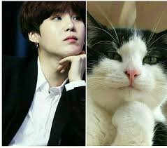 Pin By Papori Devi On Bts Cats Animals