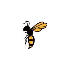 Lying Bee Bee Icon Bee Pictures Animal Icon