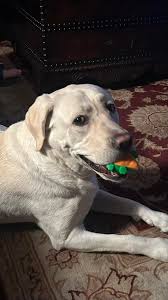 🖤🤍👻 Omg That's cute